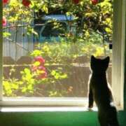 ヒメ日記 2025/09/27 14:41 投稿 篠原 MadameRest(マダムレスト)