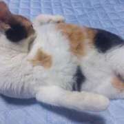 ヒメ日記 2025/09/28 04:02 投稿 篠原 MadameRest(マダムレスト)