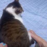 ヒメ日記 2025/09/28 06:04 投稿 篠原 MadameRest(マダムレスト)