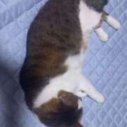 ヒメ日記 2025/09/28 07:38 投稿 篠原 MadameRest(マダムレスト)