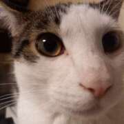 ヒメ日記 2025/09/29 05:13 投稿 篠原 MadameRest(マダムレスト)