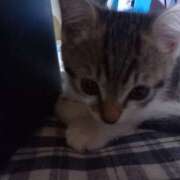 ヒメ日記 2025/09/29 07:51 投稿 篠原 MadameRest(マダムレスト)