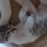 ヒメ日記 2025/09/30 15:00 投稿 篠原 MadameRest(マダムレスト)