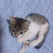 ヒメ日記 2025/10/02 03:35 投稿 篠原 MadameRest(マダムレスト)