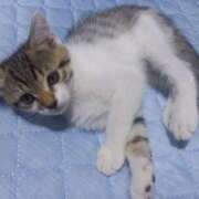 ヒメ日記 2025/10/03 14:39 投稿 篠原 MadameRest(マダムレスト)