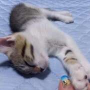 ヒメ日記 2025/10/04 05:19 投稿 篠原 MadameRest(マダムレスト)