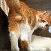 ヒメ日記 2025/10/04 07:27 投稿 篠原 MadameRest(マダムレスト)