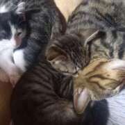 ヒメ日記 2025/10/04 15:02 投稿 篠原 MadameRest(マダムレスト)