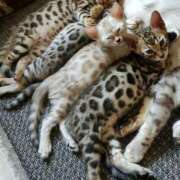 ヒメ日記 2025/10/05 13:03 投稿 篠原 MadameRest(マダムレスト)