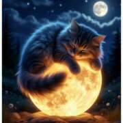 ヒメ日記 2025/10/06 04:56 投稿 篠原 MadameRest(マダムレスト)