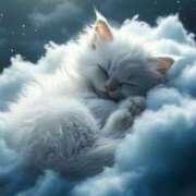 ヒメ日記 2025/10/06 07:40 投稿 篠原 MadameRest(マダムレスト)