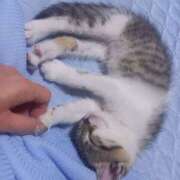 ヒメ日記 2025/10/06 12:52 投稿 篠原 MadameRest(マダムレスト)