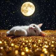 ヒメ日記 2025/10/08 03:13 投稿 篠原 MadameRest(マダムレスト)