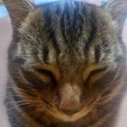 ヒメ日記 2025/10/10 01:35 投稿 篠原 MadameRest(マダムレスト)