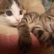 ヒメ日記 2025/10/10 12:55 投稿 篠原 MadameRest(マダムレスト)