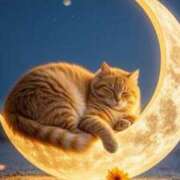 ヒメ日記 2025/10/13 01:18 投稿 篠原 MadameRest(マダムレスト)