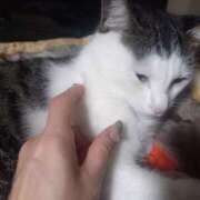 ヒメ日記 2025/10/13 05:01 投稿 篠原 MadameRest(マダムレスト)