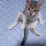 ヒメ日記 2025/10/13 07:22 投稿 篠原 MadameRest(マダムレスト)