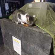 ヒメ日記 2025/10/14 03:46 投稿 篠原 MadameRest(マダムレスト)