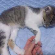 ヒメ日記 2025/10/14 16:09 投稿 篠原 MadameRest(マダムレスト)