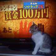 ヒメ日記 2025/10/15 00:07 投稿 篠原 MadameRest(マダムレスト)