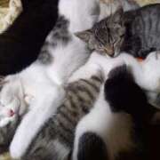 ヒメ日記 2025/10/15 18:16 投稿 篠原 MadameRest(マダムレスト)