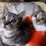 ヒメ日記 2025/10/16 12:32 投稿 篠原 MadameRest(マダムレスト)