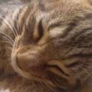 ヒメ日記 2025/10/17 07:41 投稿 篠原 MadameRest(マダムレスト)