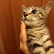 ヒメ日記 2025/10/18 03:49 投稿 篠原 MadameRest(マダムレスト)