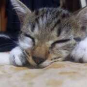 ヒメ日記 2025/10/19 12:47 投稿 篠原 MadameRest(マダムレスト)