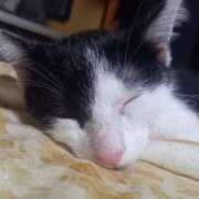 ヒメ日記 2025/10/20 05:20 投稿 篠原 MadameRest(マダムレスト)