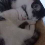 ヒメ日記 2025/10/20 12:34 投稿 篠原 MadameRest(マダムレスト)