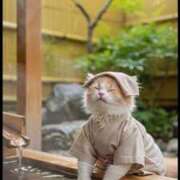 ヒメ日記 2025/10/20 15:56 投稿 篠原 MadameRest(マダムレスト)