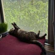 ヒメ日記 2025/10/21 12:59 投稿 篠原 MadameRest(マダムレスト)