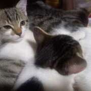 ヒメ日記 2025/10/23 16:03 投稿 篠原 MadameRest(マダムレスト)