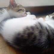 ヒメ日記 2025/10/25 12:47 投稿 篠原 MadameRest(マダムレスト)