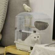 ヒメ日記 2025/10/26 05:31 投稿 篠原 MadameRest(マダムレスト)