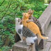 ヒメ日記 2025/10/26 12:57 投稿 篠原 MadameRest(マダムレスト)