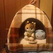 ヒメ日記 2025/10/29 22:46 投稿 篠原 MadameRest(マダムレスト)