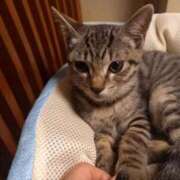 ヒメ日記 2025/10/31 07:45 投稿 篠原 MadameRest(マダムレスト)