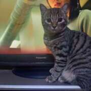 ヒメ日記 2025/11/03 05:47 投稿 篠原 MadameRest(マダムレスト)