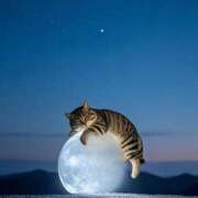 ヒメ日記 2025/11/03 07:08 投稿 篠原 MadameRest(マダムレスト)