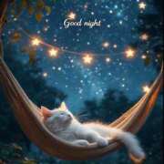 ヒメ日記 2025/11/04 02:36 投稿 篠原 MadameRest(マダムレスト)