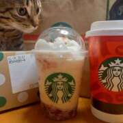 ヒメ日記 2025/11/04 21:55 投稿 篠原 MadameRest(マダムレスト)