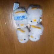 ヒメ日記 2025/11/04 22:36 投稿 篠原 MadameRest(マダムレスト)