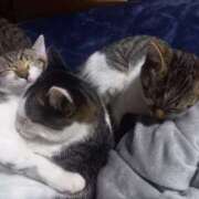 ヒメ日記 2025/11/06 07:40 投稿 篠原 MadameRest(マダムレスト)