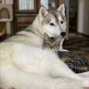 ヒメ日記 2025/11/06 15:48 投稿 篠原 MadameRest(マダムレスト)