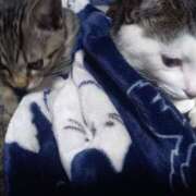 ヒメ日記 2025/11/08 12:37 投稿 篠原 MadameRest(マダムレスト)