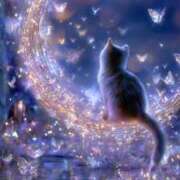 ヒメ日記 2025/11/09 01:44 投稿 篠原 MadameRest(マダムレスト)