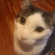 ヒメ日記 2025/11/09 04:56 投稿 篠原 MadameRest(マダムレスト)